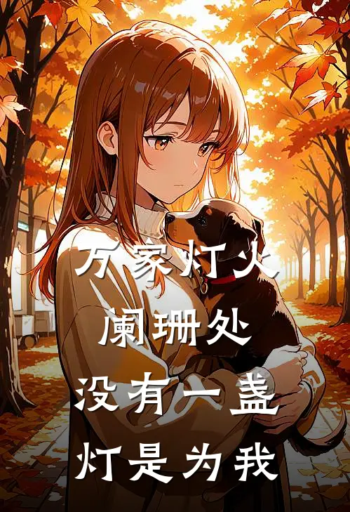 万家灯火阑珊处,没有一盏灯是为我