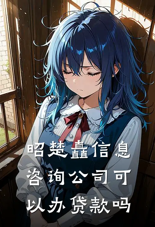 昭楚矗信息咨询公司可以办贷款吗